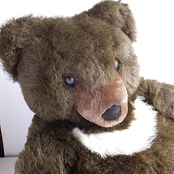 71YS+4MHrSL._AC_UF350,